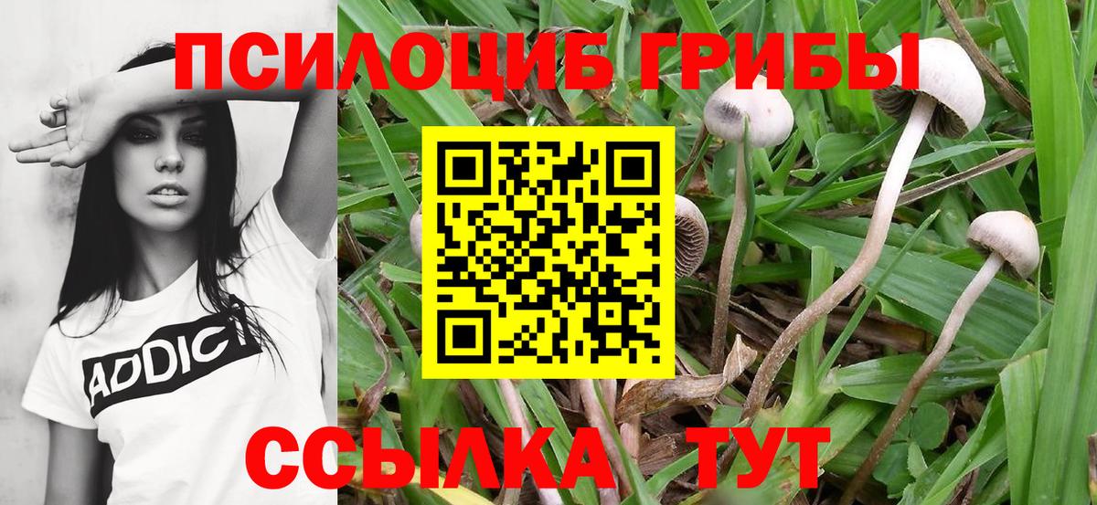 Галлюциногенные грибы Psilocybe  Галлюциногенные грибы Magic Shrooms  Вход с VPN  Азов 