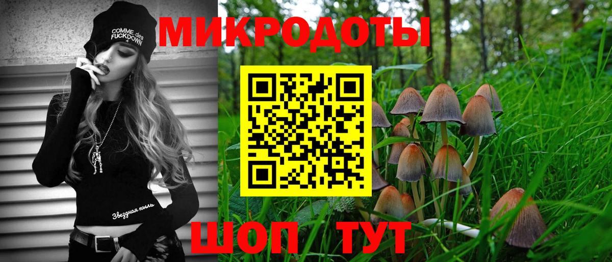 Галлюциногенные грибы Psilocybe Азов